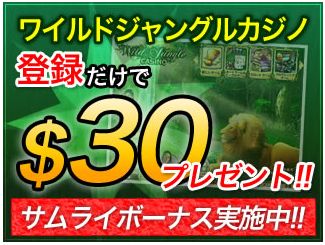 $30BONUS.jpg