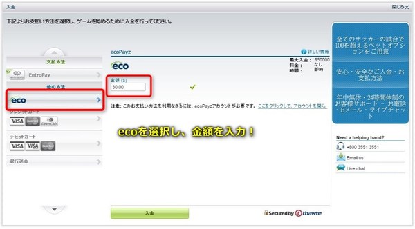 ウィリアムヒルへのecoPayz入金2.jpg