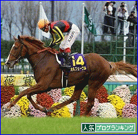 オルフェーヴルバナー.gif