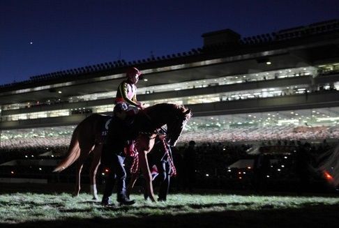 有馬記念2013回顧＆オルフェーヴル引退式。ありがとう・・・: 浅次郎の