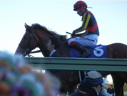 有馬記念2013回顧&オルフェーヴル引退式。ありがとう 有馬記念2013回顧&オルフェーヴル引退式。ありがとう