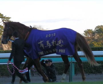 オルフェーヴル有馬記念4.jpg