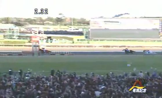 オルフェーヴル有馬記念5.jpg