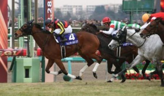 ジェンティルドンナ有馬記念2.jpg