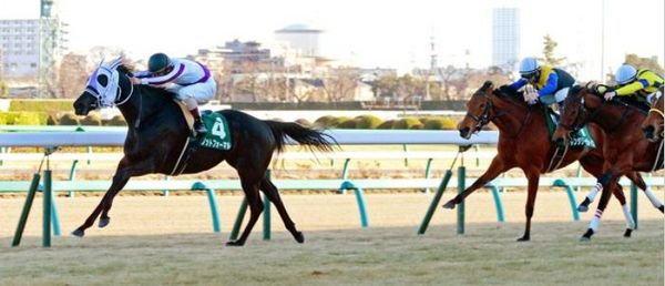 フェアリーSノットフォーマル.jpg