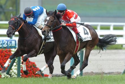 レッドリヴェール新馬戦.jpg