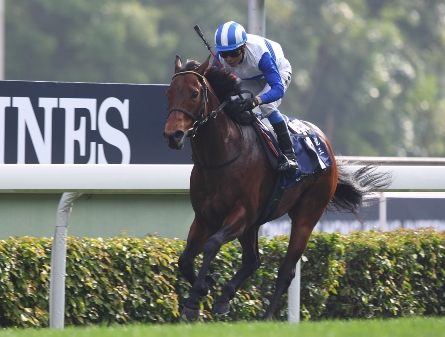 ロードカナロア香港スプリント2連覇!.jpg