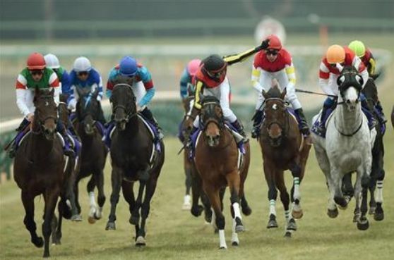 有馬記念2014ジェンティルドンナ.jpg
