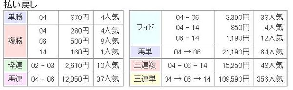 有馬記念2014払い戻し.jpg
