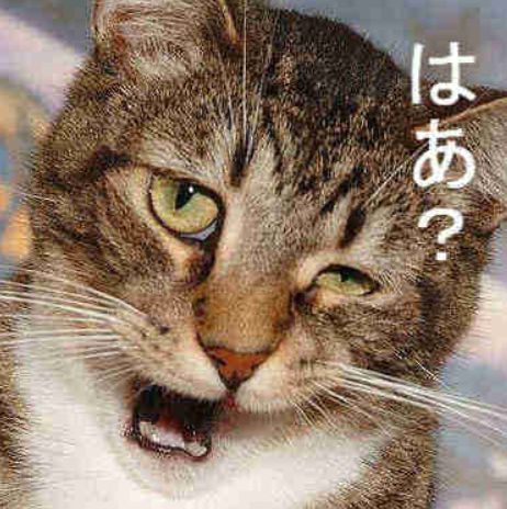 はあ?.jpg