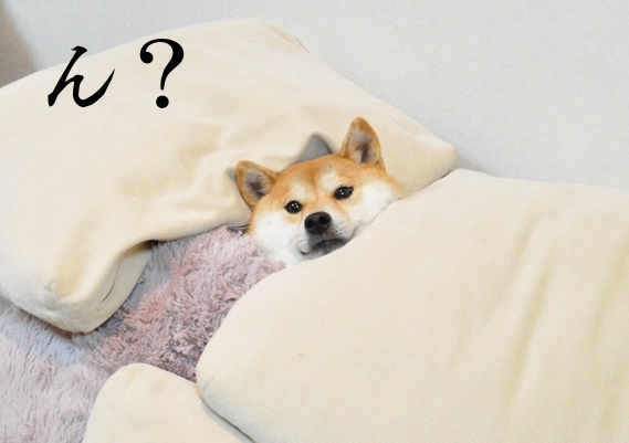 んあ?2.jpg