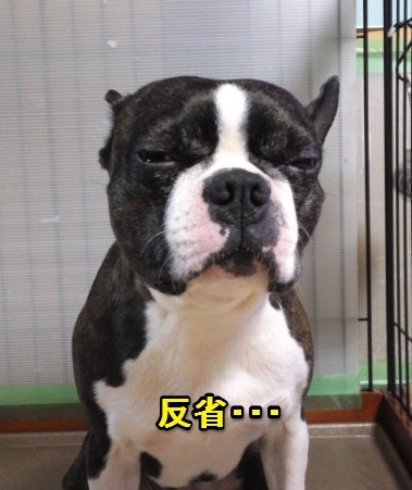 反省.jpg