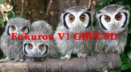 Fukurouバナー.jpg